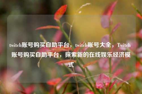 twitch账号购买自助平台，twitch账号大全，Twitch 账号购买自助平台，探索新的在线娱乐经济模式
