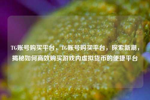 TG账号购买平台，TG账号购买平台	，探索新潮，揭秘如何高效购买游戏内虚拟货币的便捷平台  第1张