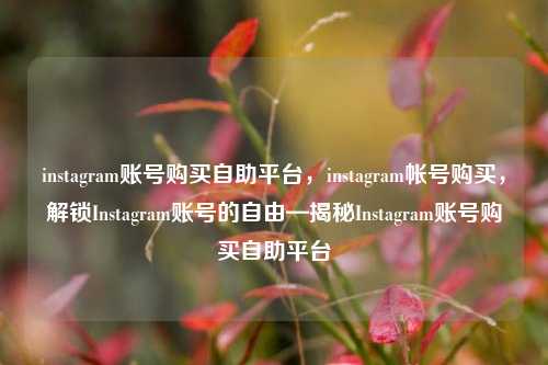 instagram账号购买自助平台，instagram帐号购买，解锁Instagram账号的自由—揭秘Instagram账号购买自助平台