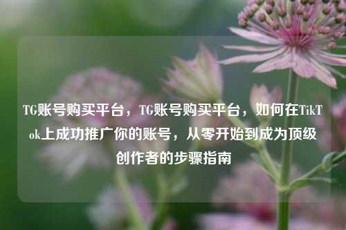 TG账号购买平台，TG账号购买平台，如何在TikTok上成功推广你的账号，从零开始到成为顶级创作者的步骤指南
