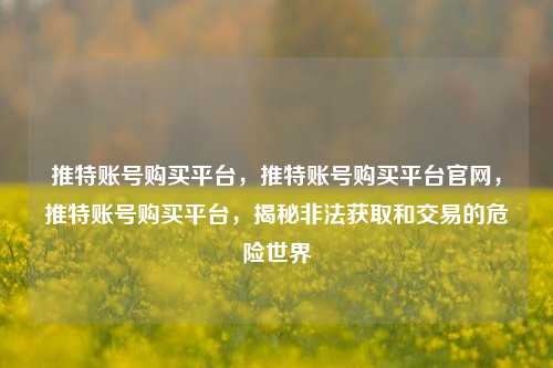 推特账号购买平台，推特账号购买平台官网，推特账号购买平台，揭秘非法获取和交易的危险世界