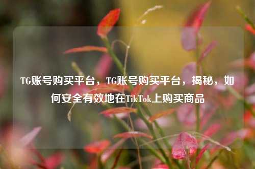 TG账号购买平台，TG账号购买平台，揭秘，如何安全有效地在TikTok上购买商品