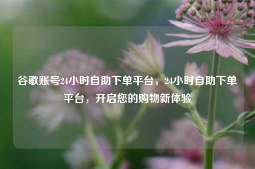 谷歌账号24小时自助下单平台，24小时自助下单平台，开启您的购物新体验
