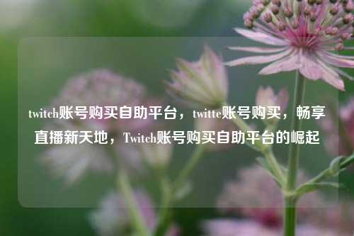 twitch账号购买自助平台，twitte账号购买，畅享直播新天地，Twitch账号购买自助平台的崛起