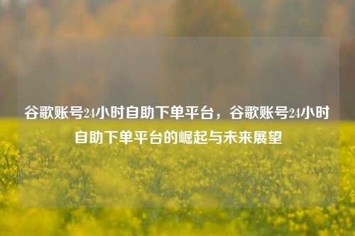 谷歌账号24小时自助下单平台，谷歌账号24小时自助下单平台的崛起与未来展望