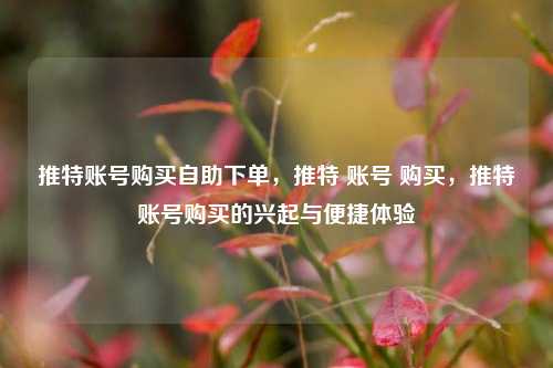 推特账号购买自助下单，推特 账号 购买，推特账号购买的兴起与便捷体验