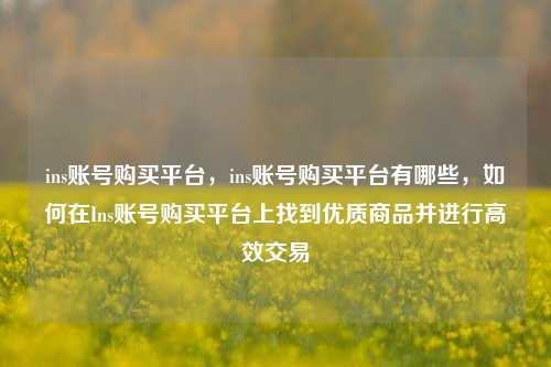 ins账号购买平台，ins账号购买平台有哪些，如何在Ins账号购买平台上找到优质商品并进行高效交易