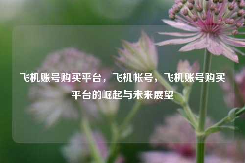 飞机账号购买平台，飞机帐号，飞机账号购买平台的崛起与未来展望