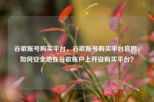 谷歌账号购买平台，谷歌账号购买平台官网，如何安全地在谷歌账户上开设购买平台？
