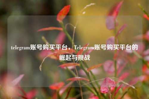 telegram账号购买平台，Telegram账号购买平台的崛起与挑战