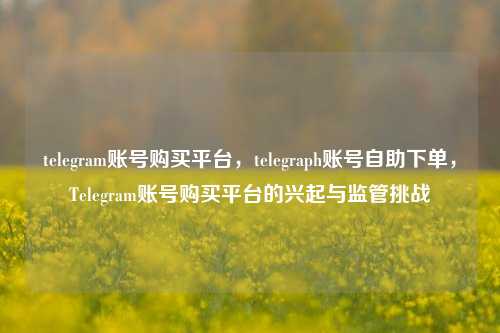 telegram账号购买平台，telegraph账号自助下单，Telegram账号购买平台的兴起与监管挑战