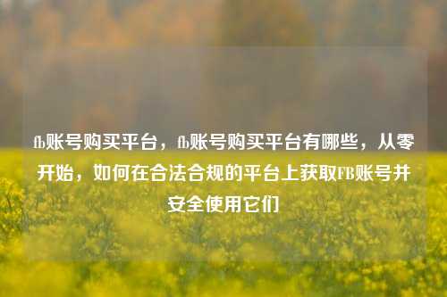 fb账号购买平台，fb账号购买平台有哪些，从零开始，如何在合法合规的平台上获取FB账号并安全使用它们