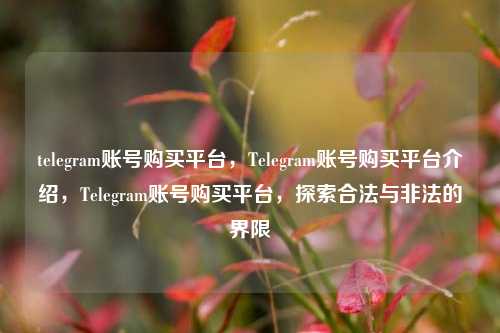 telegram账号购买平台，Telegram账号购买平台介绍，Telegram账号购买平台，探索合法与非法的界限