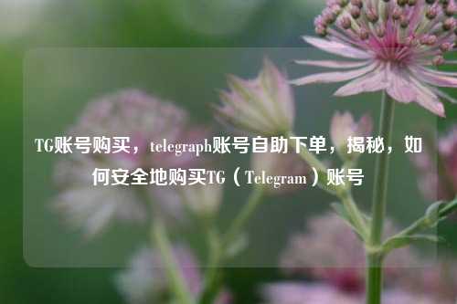 TG账号购买，telegraph账号自助下单，揭秘，如何安全地购买TG（Telegram）账号