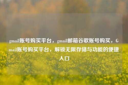 gmail账号购买平台，gmail邮箱谷歌账号购买，Gmail账号购买平台，解锁无限存储与功能的便捷入口