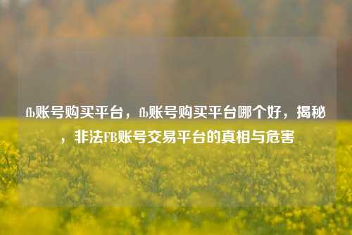 fb账号购买平台，fb账号购买平台哪个好，揭秘，非法FB账号交易平台的真相与危害