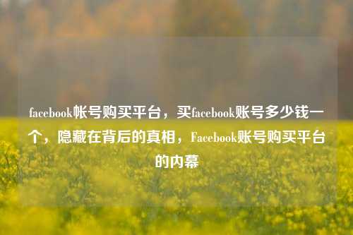 facebook帐号购买平台，买facebook账号多少钱一个，隐藏在背后的真相，Facebook账号购买平台的内幕
