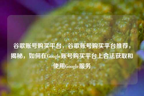 谷歌账号购买平台，谷歌账号购买平台推荐，揭秘，如何在Google账号购买平台上合法获取和使用Google服务