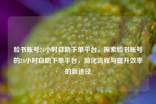脸书账号24小时自助下单平台，探索脸书账号的24小时自助下单平台，简化流程与提升效率的新途径