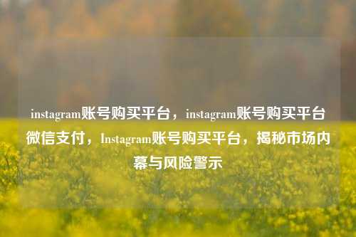 instagram账号购买平台	，instagram账号购买平台微信支付，Instagram账号购买平台，揭秘市场内幕与风险警示  第1张