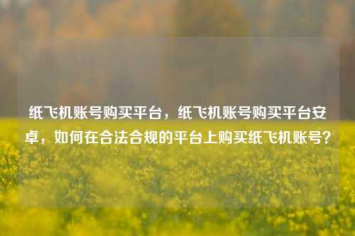 纸飞机账号购买平台，纸飞机账号购买平台安卓，如何在合法合规的平台上购买纸飞机账号？