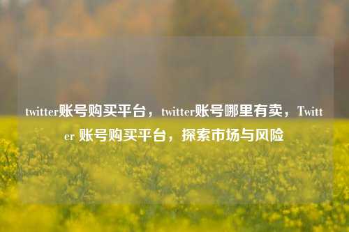 twitter账号购买平台，twitter账号哪里有卖，Twitter 账号购买平台，探索市场与风险