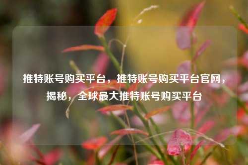 推特账号购买平台，推特账号购买平台官网，揭秘，全球最大推特账号购买平台