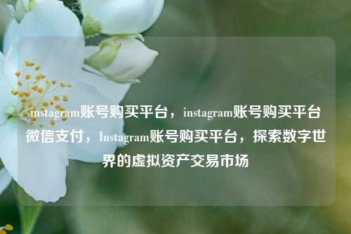 instagram账号购买平台，instagram账号购买平台微信支付，Instagram账号购买平台，探索数字世界的虚拟资产交易市场