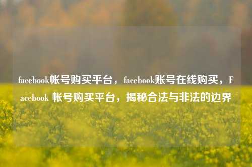 facebook帐号购买平台，facebook账号在线购买，Facebook 帐号购买平台，揭秘合法与非法的边界