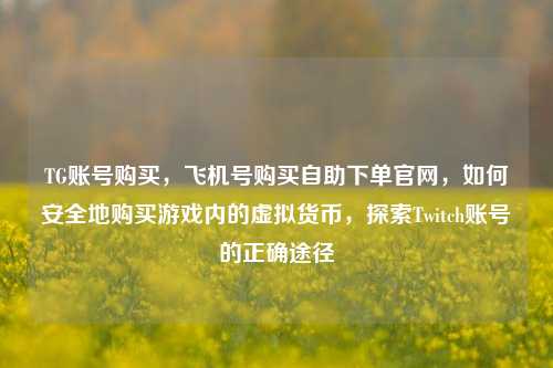 TG账号购买，飞机号购买自助下单官网，如何安全地购买游戏内的虚拟货币，探索Twitch账号的正确途径