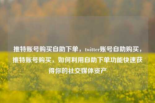 推特账号购买自助下单，twitter账号自助购买，推特账号购买，如何利用自助下单功能快速获得你的社交媒体资产