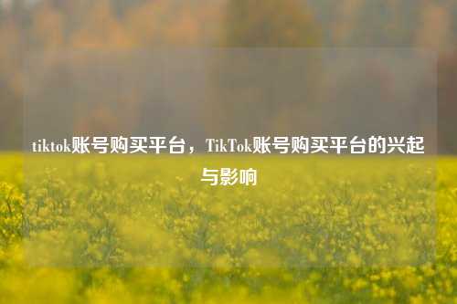 tiktok账号购买平台，TikTok账号购买平台的兴起与影响