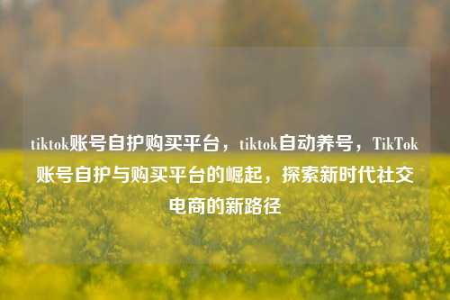 tiktok账号自护购买平台，tiktok自动养号，TikTok账号自护与购买平台的崛起，探索新时代社交电商的新路径