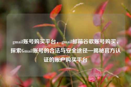 gmail账号购买平台，gmail邮箱谷歌账号购买，探索Gmail账号的合法与安全途径—揭秘官方认证的账户购买平台