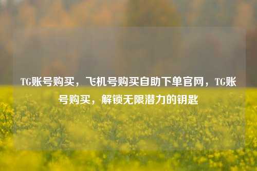 TG账号购买，飞机号购买自助下单官网，TG账号购买，解锁无限潜力的钥匙