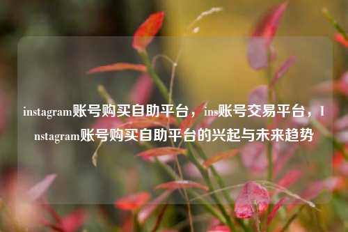 instagram账号购买自助平台，ins账号交易平台，Instagram账号购买自助平台的兴起与未来趋势