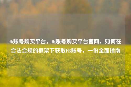 fb账号购买平台，fb账号购买平台官网，如何在合法合规的框架下获取FB账号，一份全面指南