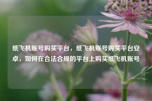 纸飞机账号购买平台，纸飞机账号购买平台安卓，如何在合法合规的平台上购买纸飞机账号