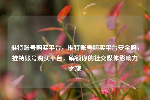 推特账号购买平台，推特账号购买平台安全吗，推特账号购买平台，解锁你的社交媒体影响力之旅