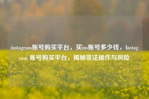 instagram账号购买平台，买ins账号多少钱	，Instagram 账号购买平台，揭秘非法操作与风险  第1张