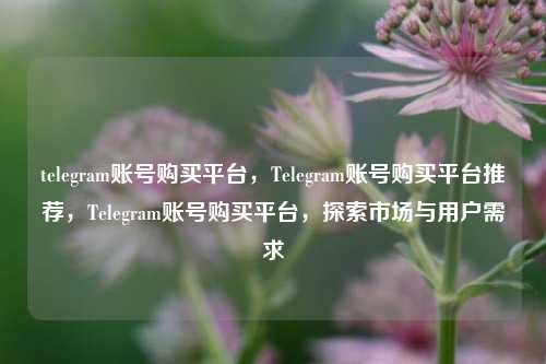 telegram账号购买平台，Telegram账号购买平台推荐，Telegram账号购买平台，探索市场与用户需求