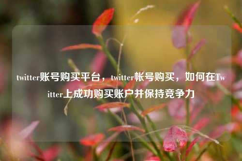 twitter账号购买平台，twitter帐号购买，如何在Twitter上成功购买账户并保持竞争力