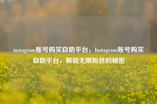 instagram账号购买自助平台，Instagram账号购买自助平台，解锁无限粉丝的秘密