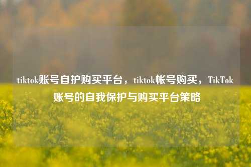 tiktok账号自护购买平台，tiktok帐号购买，TikTok 账号的自我保护与购买平台策略