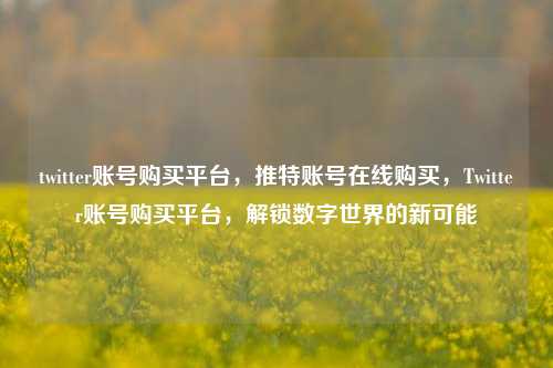 twitter账号购买平台，推特账号在线购买，Twitter账号购买平台，解锁数字世界的新可能