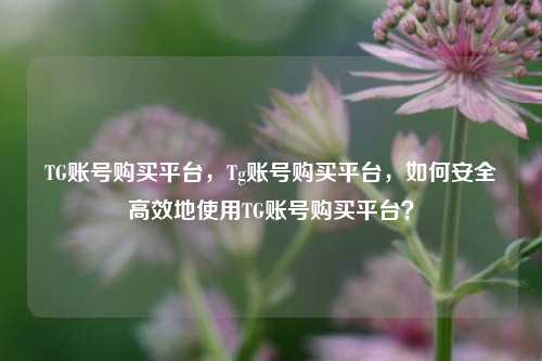 TG账号购买平台，Tg账号购买平台，如何安全高效地使用TG账号购买平台？