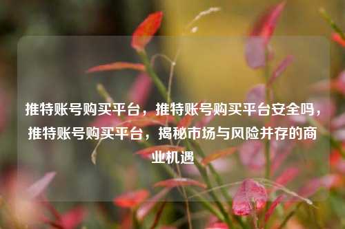 推特账号购买平台，推特账号购买平台安全吗，推特账号购买平台，揭秘市场与风险并存的商业机遇