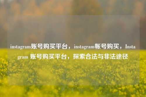 instagram账号购买平台，instagram帐号购买，Instagram 账号购买平台，探索合法与非法途径