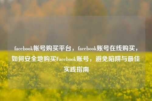facebook帐号购买平台，facebook账号在线购买，如何安全地购买Facebook账号，避免陷阱与最佳实践指南