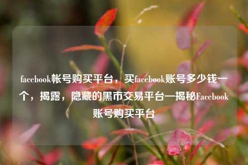 facebook帐号购买平台，买facebook账号多少钱一个，揭露，隐藏的黑市交易平台—揭秘Facebook账号购买平台